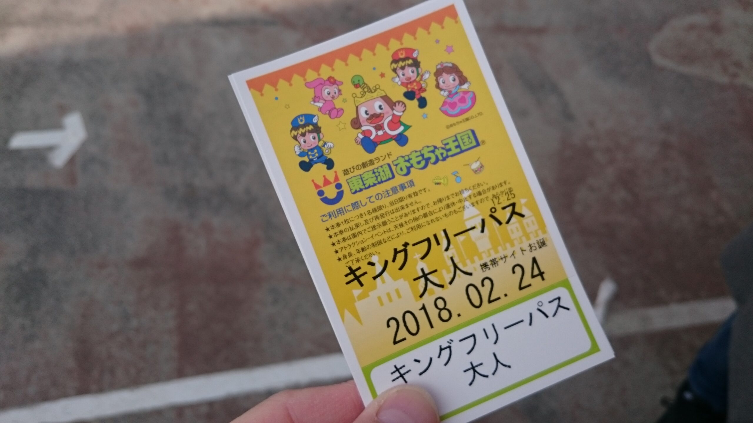 東条湖おもちゃ王国　チケット